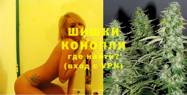 ешки Алексин