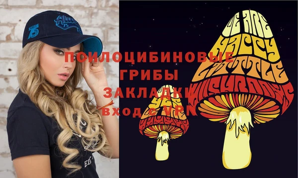 ешки Алексин