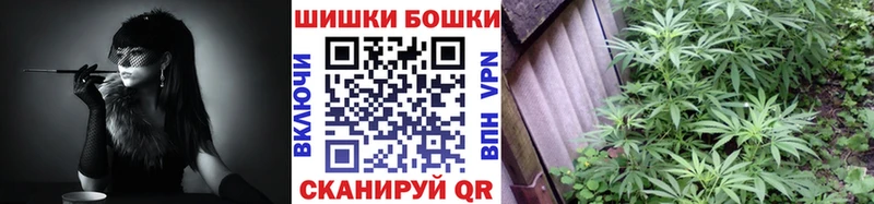 где купить   Королёв  Бошки Шишки план 